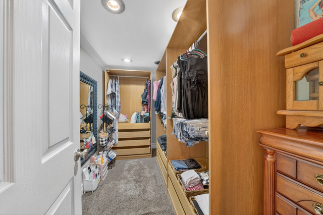 415 East 400 North Santaquin, UT 84655 - Photo 25 of 39 Custom closet system featuring wood-finish cabinetry, recessed lighting, and carpet flooring
