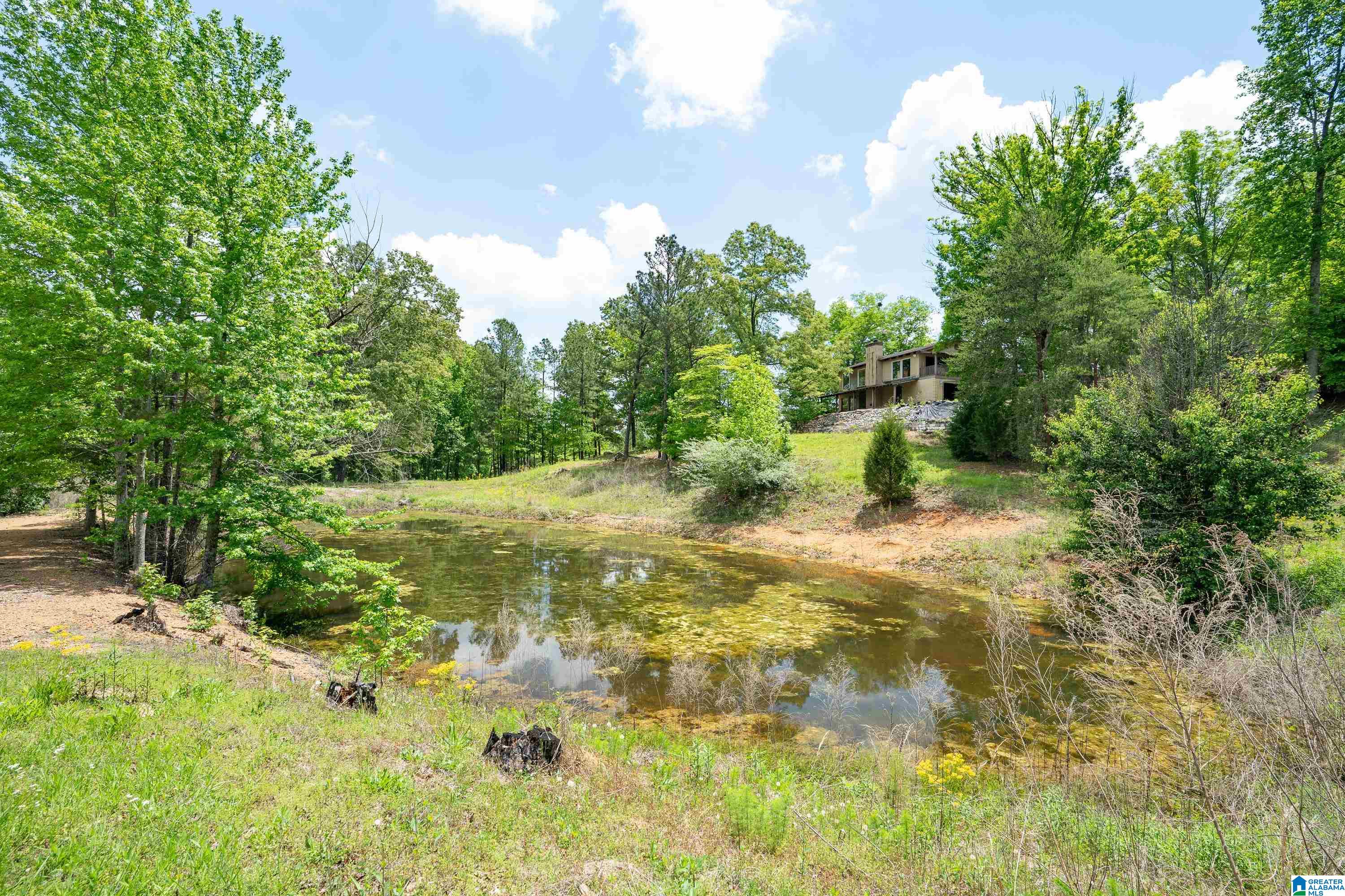 297 Cain Road Chelsea, AL 35043 - Photo 9 of 33