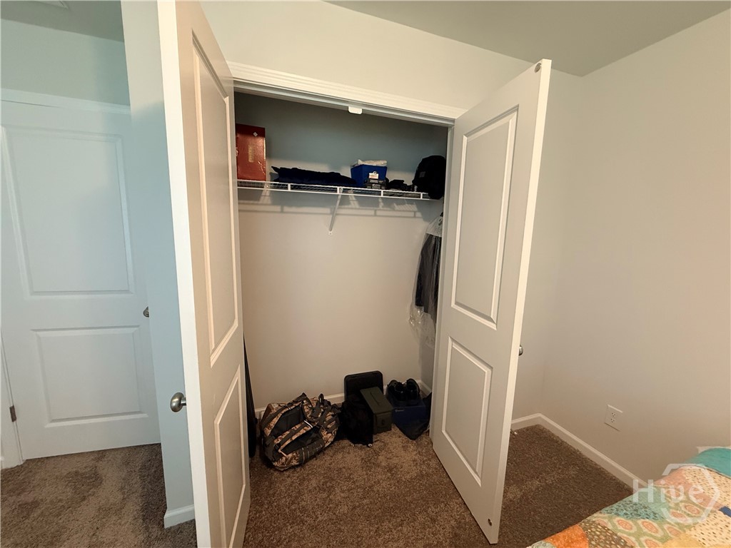 1244 Wilkins Road Midway, GA 31320 - Photo 51 of 58 Bedroom 4 Closet
