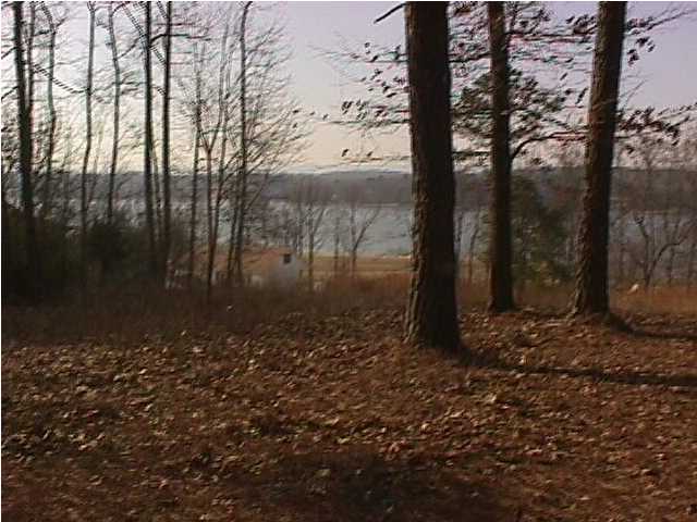 0 Shahan Circle Decatur, TN 37322 - Photo 3 of 6 Additional Photo