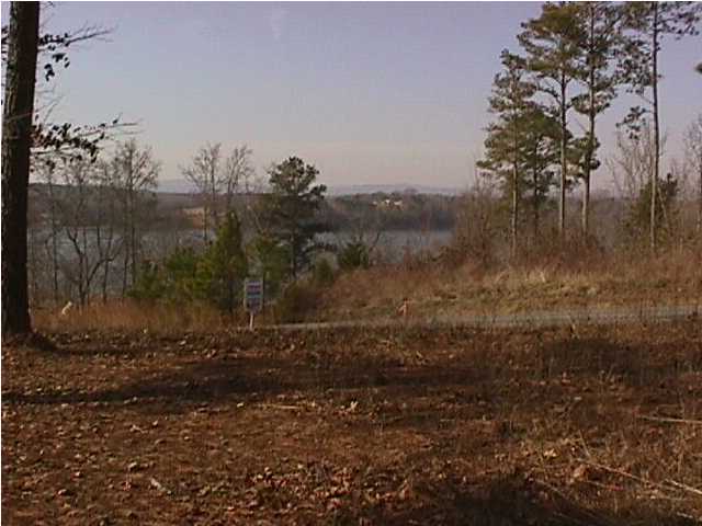 0 Shahan Circle Decatur, TN 37322 - Photo 4 of 6 Additional Photo
