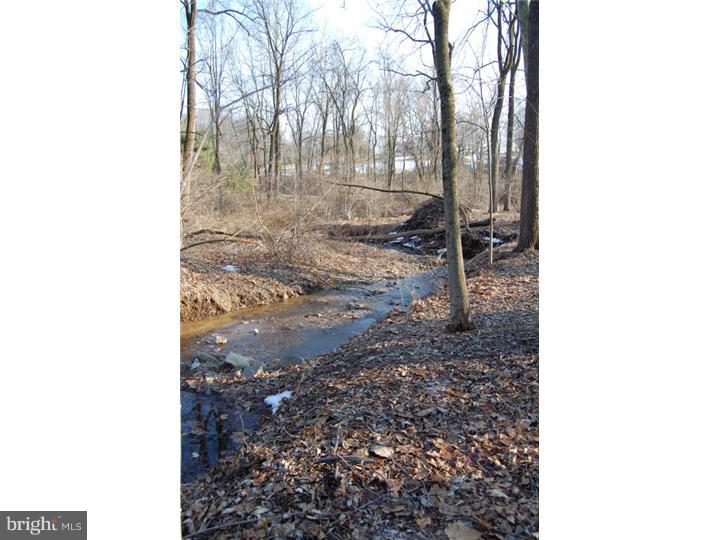 140 Kerr Road Reading, PA 19606 - Photo 11 of 12 Back Yard