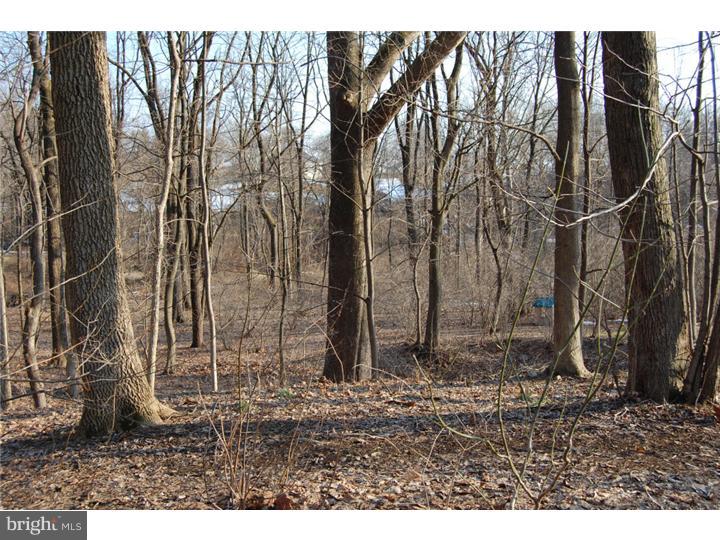 140 Kerr Road Reading, PA 19606 - Photo 10 of 12 Back Yard