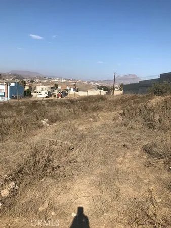 a view of a dry yard
