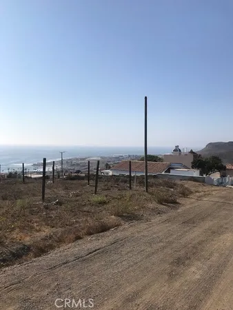 a view of a dry yard