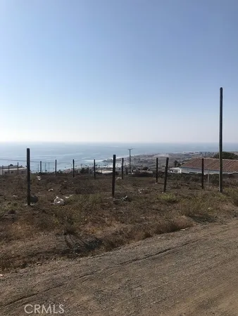 a view of a dry yard