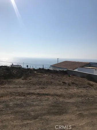 a view of a yard