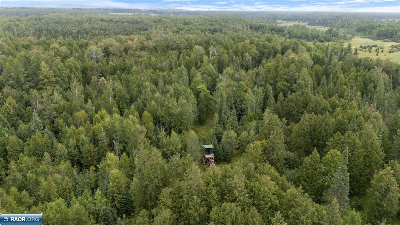 4901 Samuelson Road Angora, MN 55703 - Photo 12 of 27