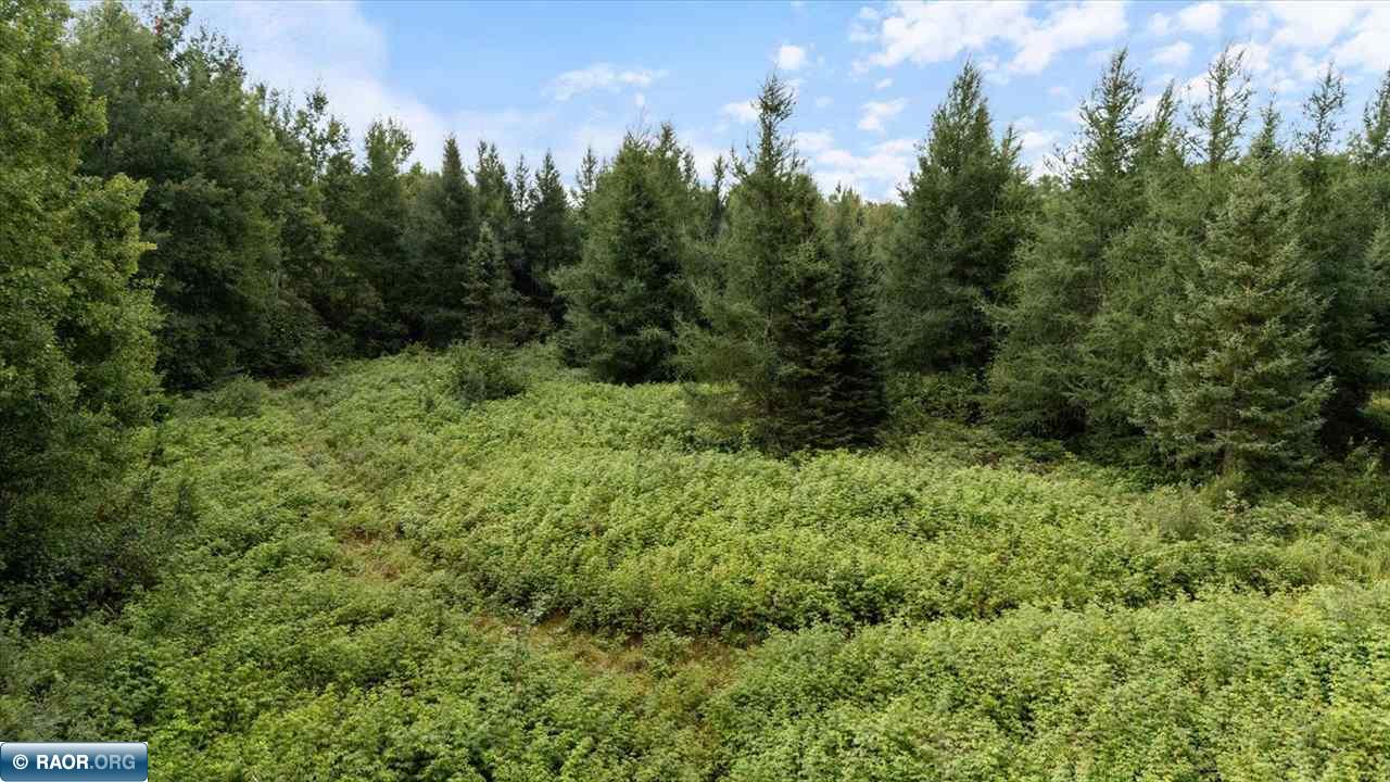 4901 Samuelson Road Angora, MN 55703 - Photo 18 of 27