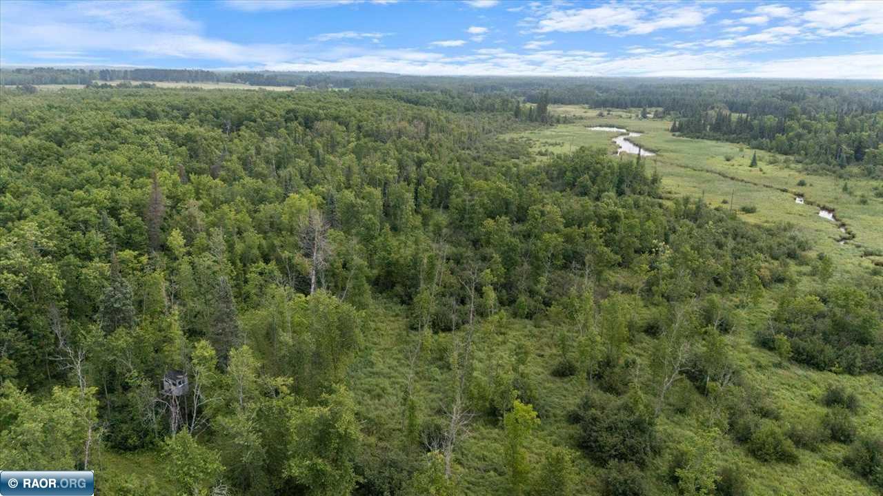 4901 Samuelson Road Angora, MN 55703 - Photo 9 of 27