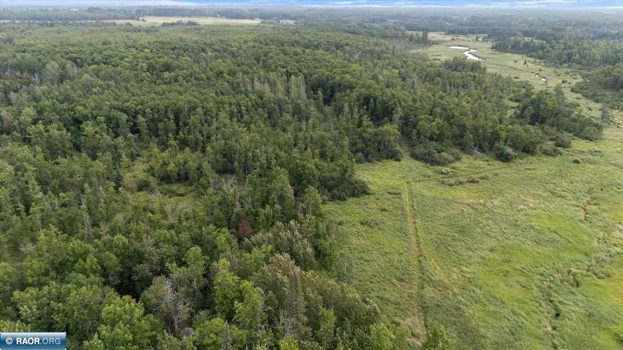 4901 Samuelson Road Angora, MN 55703 - Photo 10 of 27