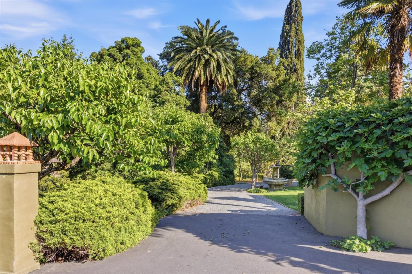 18000 Overlook Road Los Gatos, CA 95030 - Photo 62 of 78 a view of a yard with plants and trees