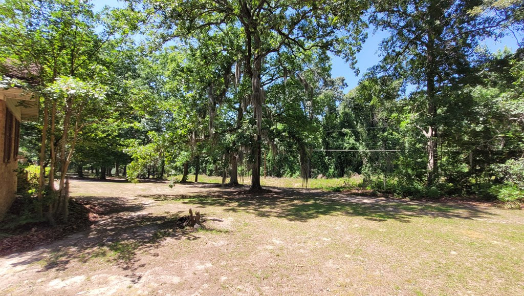 5904 Fish Road Dalzell, SC 29040 - Photo 4 of 41