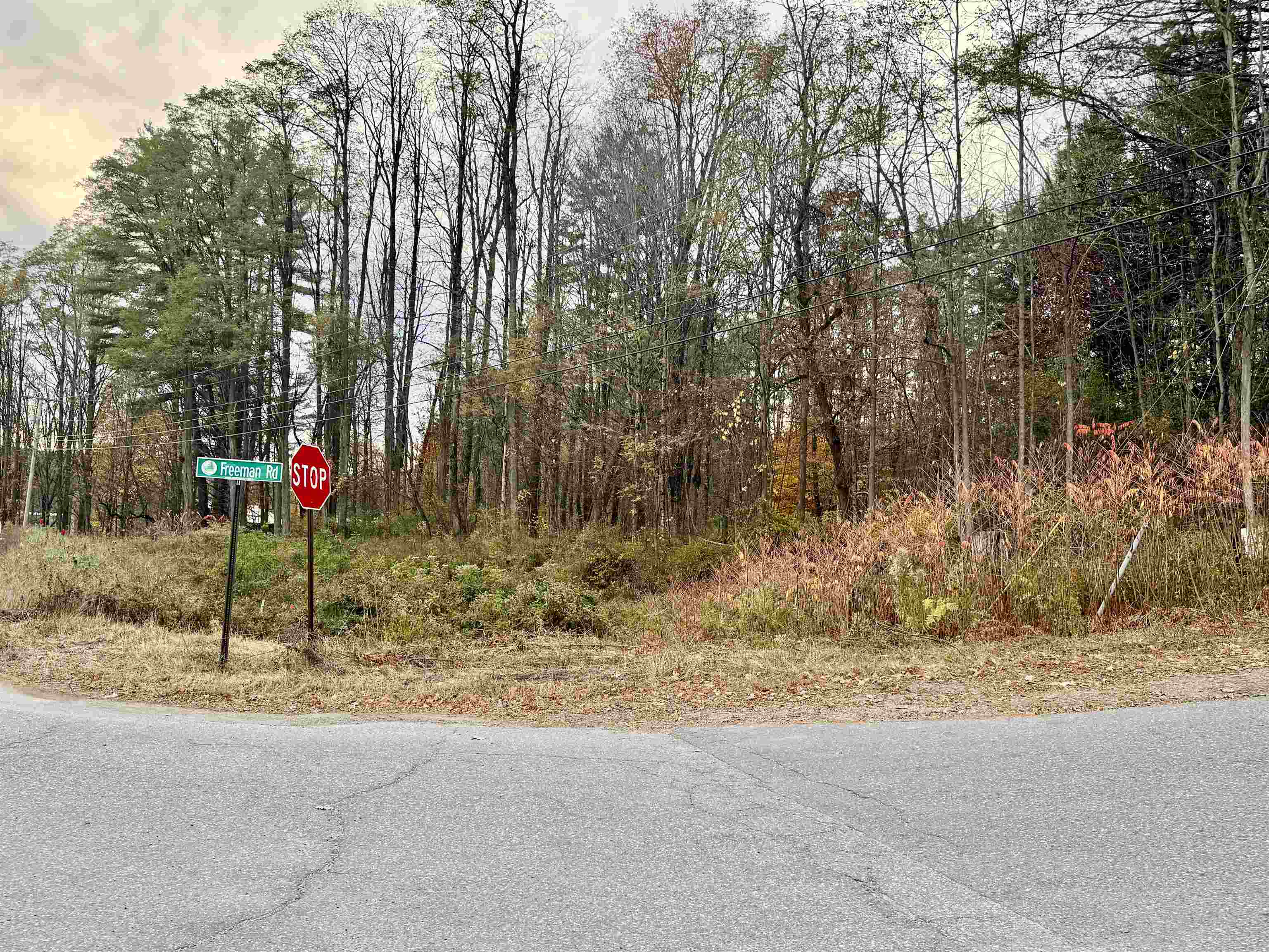 0 Freeman Road Plainfield, NH 03781 - Photo 2 of 5