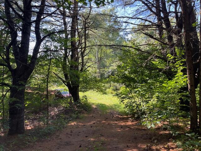 176 Robb Hill Road Alexander, ME 04694 - Photo 75 of 80 IMG_2748 (1)