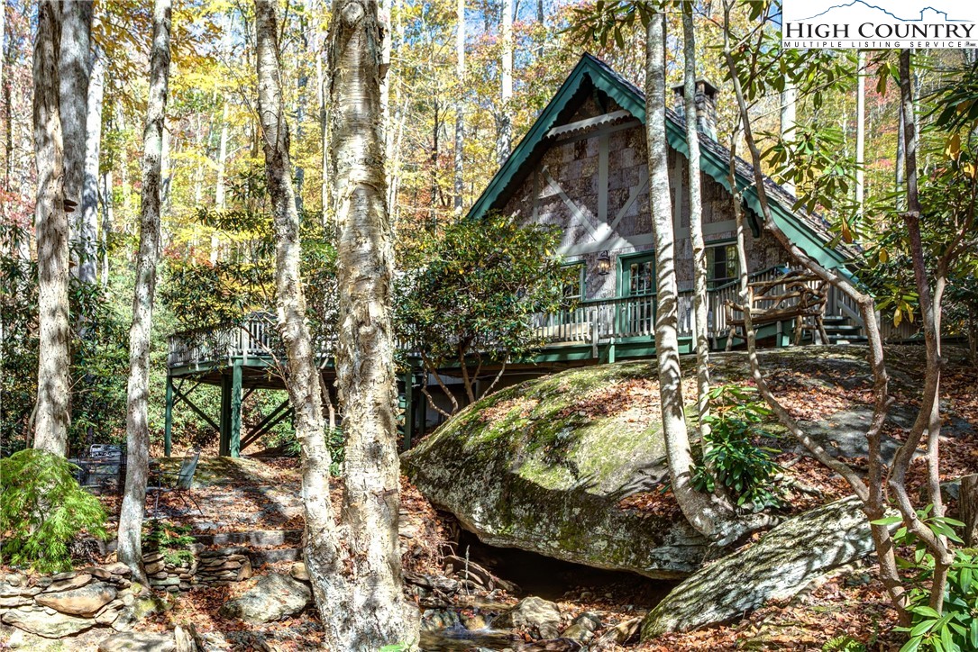 2950 Hickory Boone, NC 28607 - Photo 4 of 26 a picture of a tree in a yard