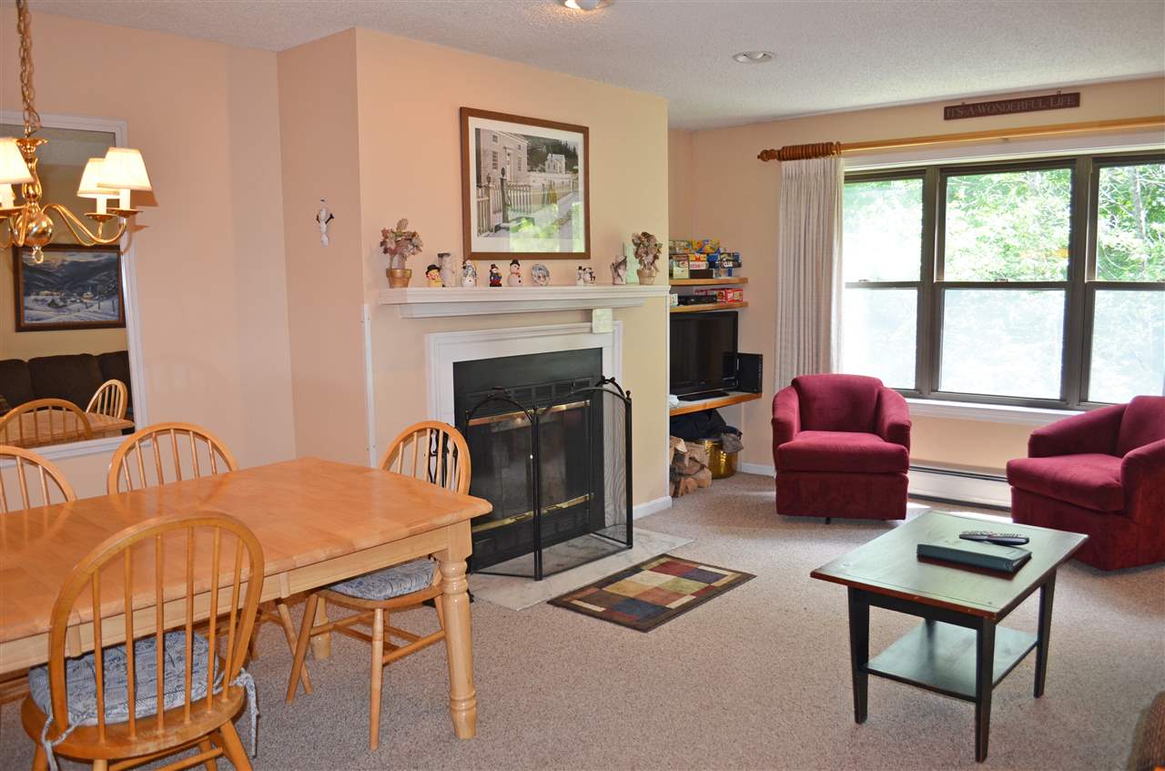 69 White Loop, Unit E203 Ludlow, VT 05149 - Photo 10 of 40 Gallery Image 10
