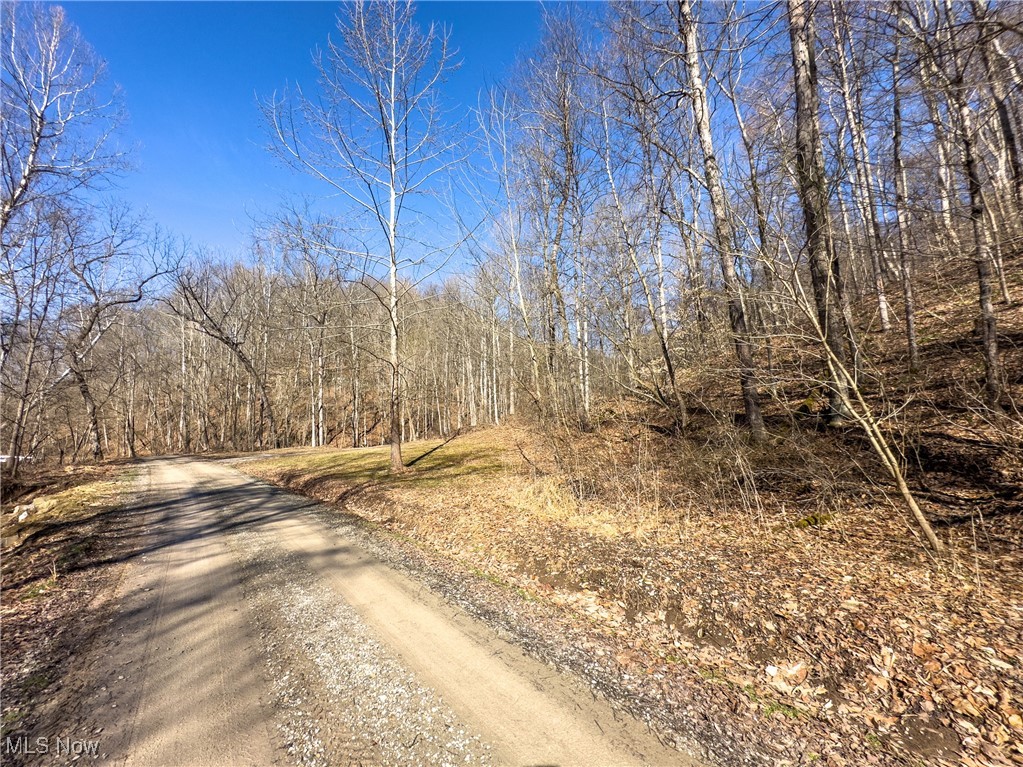 47562 Pratts Run Road Clarington, OH 43915 - Photo 19 of 49 View of road