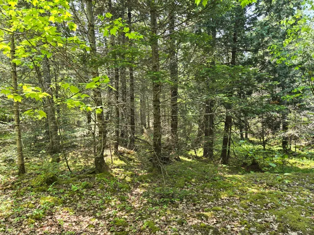 $115,000 | 0 Map Wa032 Plan 01, Lubec, ME 04652