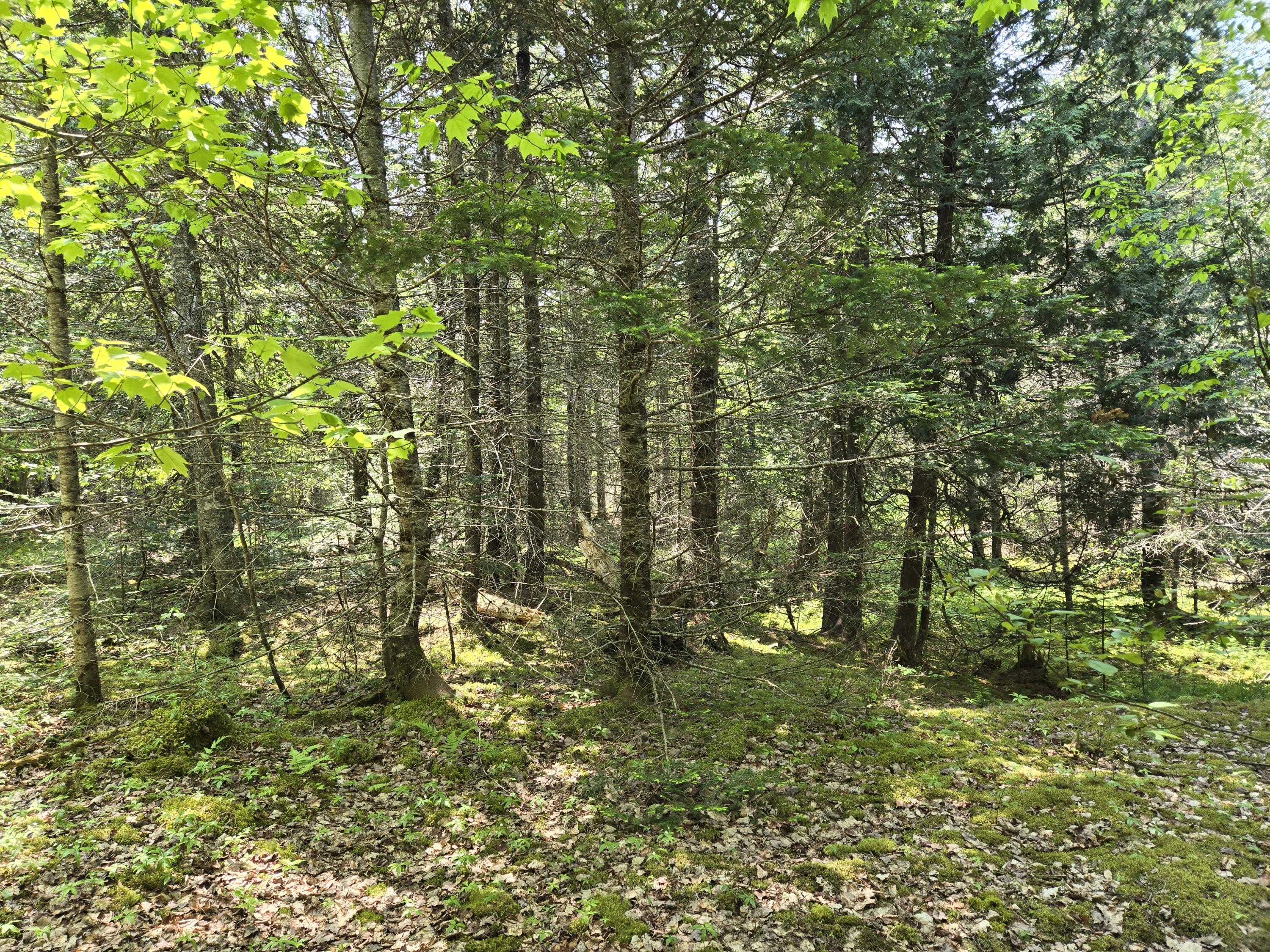 0 Map Wa032 Plan 01 Lubec, ME 04652 - Photo 11 of 36 20250605_113738