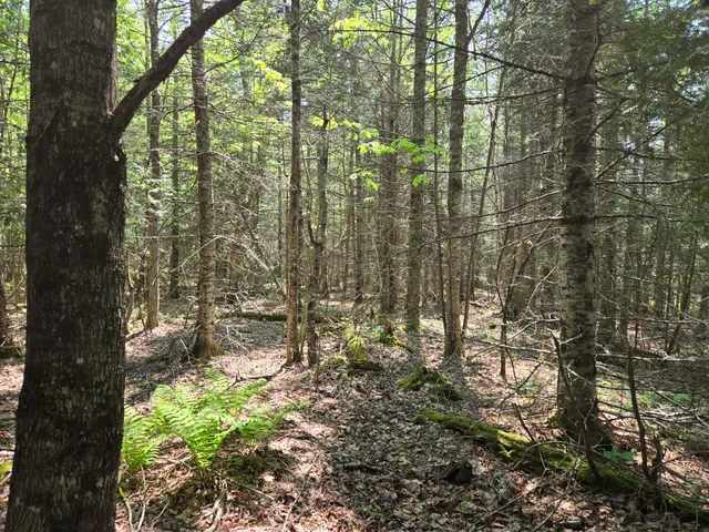 $115,000 | 0 Map Wa032 Plan 01, Lubec, ME 04652