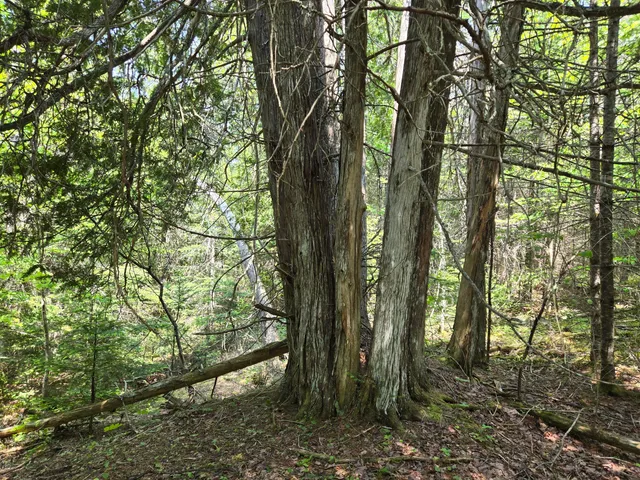 $115,000 | 0 Map Wa032 Plan 01, Lubec, ME 04652