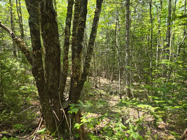 $115,000 | 0 Map Wa032 Plan 01, Lubec, ME 04652