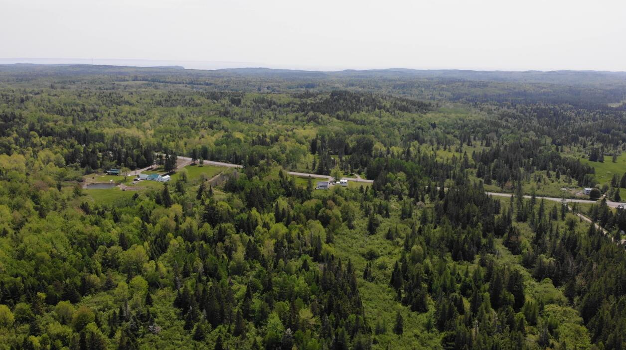 0 Map Wa032 Plan 01 Lubec, ME 04652 - Photo 15 of 36 Screenshot 2025-06-06 084549