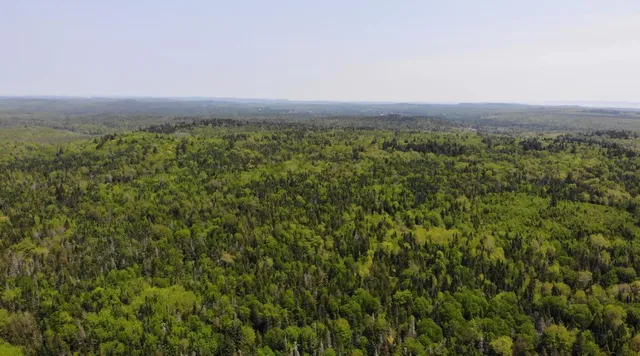 $115,000 | 0 Map Wa032 Plan 01, Lubec, ME 04652