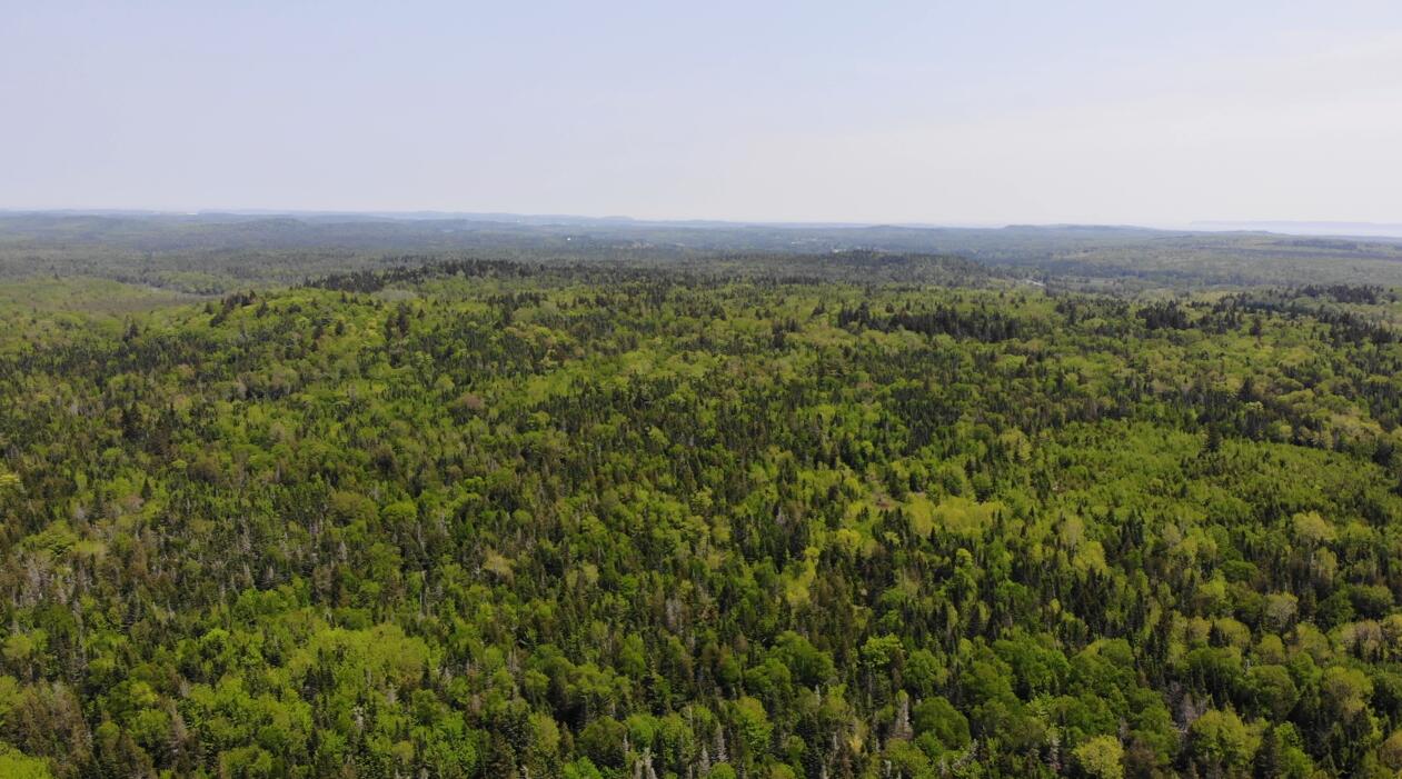 0 Map Wa032 Plan 01 Lubec, ME 04652 - Photo 16 of 36 Screenshot 2025-06-06 084628