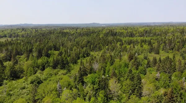 $115,000 | 0 Map Wa032 Plan 01, Lubec, ME 04652