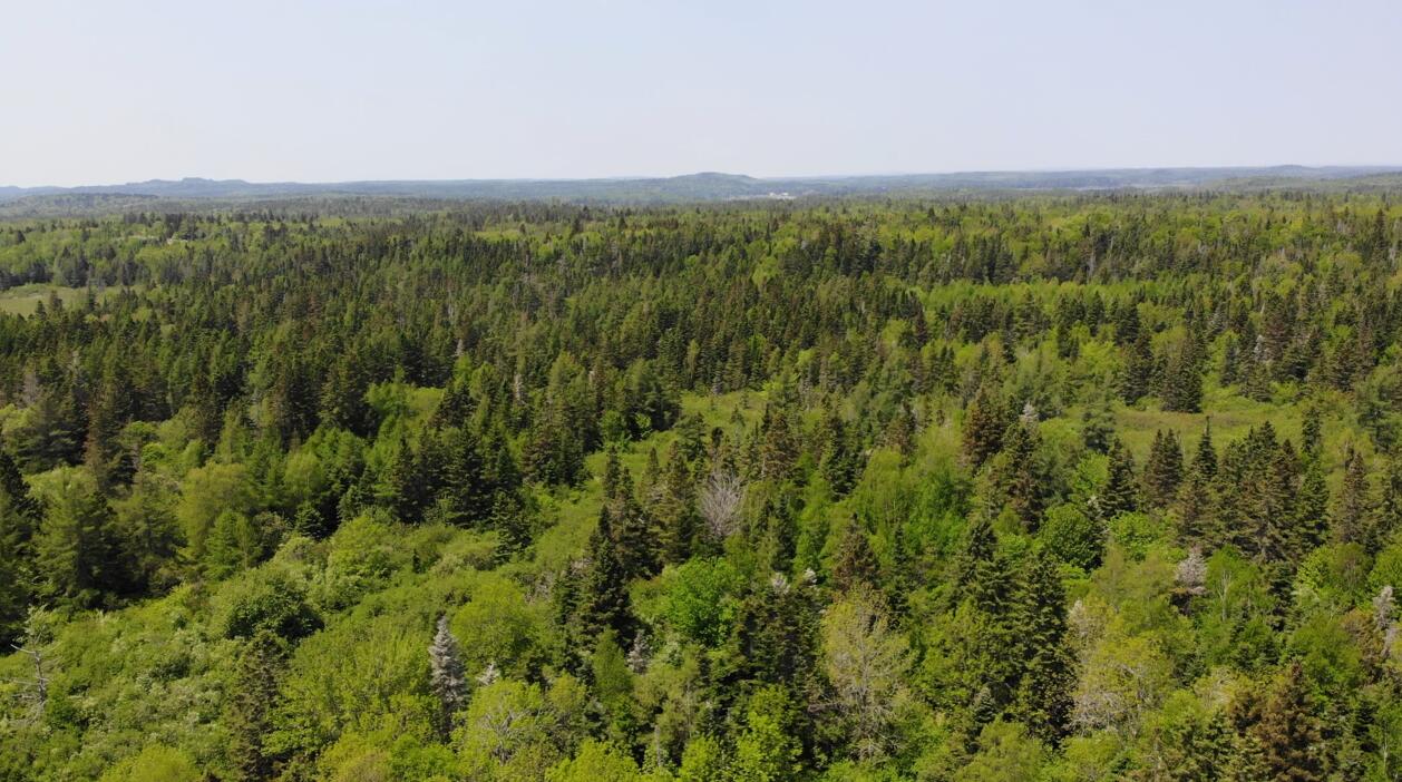 0 Map Wa032 Plan 01 Lubec, ME 04652 - Photo 17 of 36 Screenshot 2025-06-06 084754