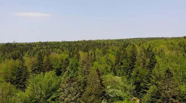 $115,000 | 0 Map Wa032 Plan 01, Lubec, ME 04652