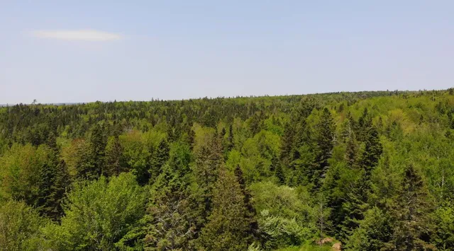 $115,000 | 0 Map Wa032 Plan 01, Lubec, ME 04652