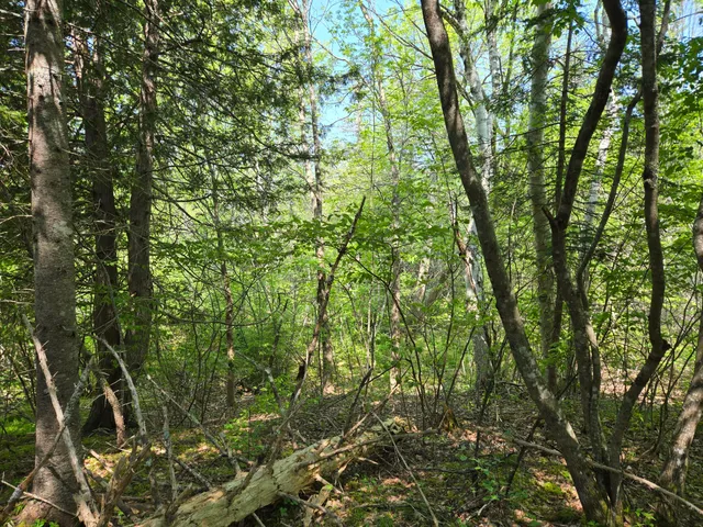 $115,000 | 0 Map Wa032 Plan 01, Lubec, ME 04652