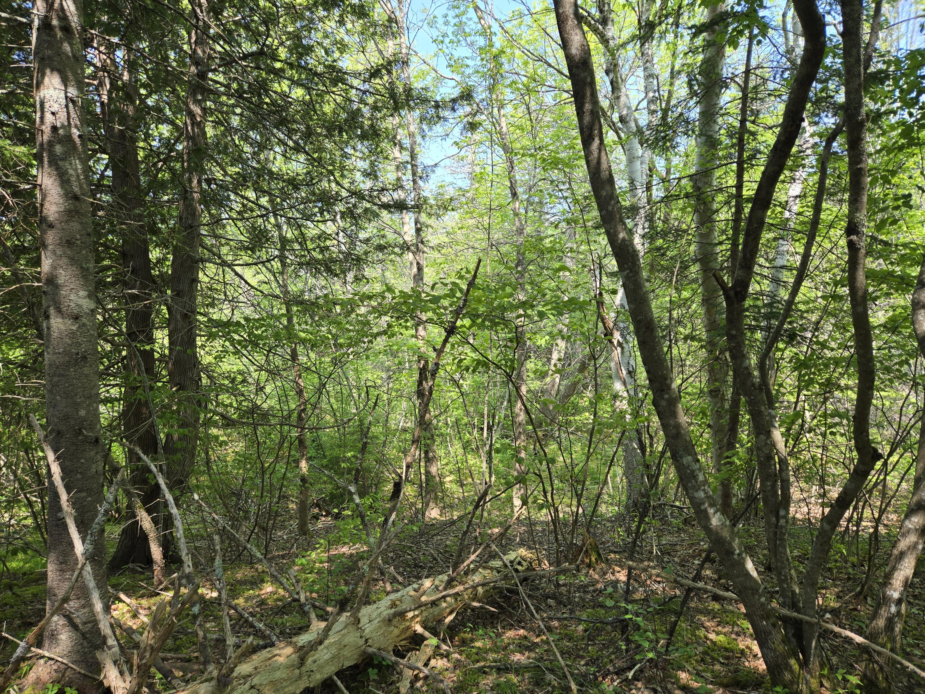 0 Map Wa032 Plan 01 Lubec, ME 04652 - Photo 19 of 36 20250605_105459