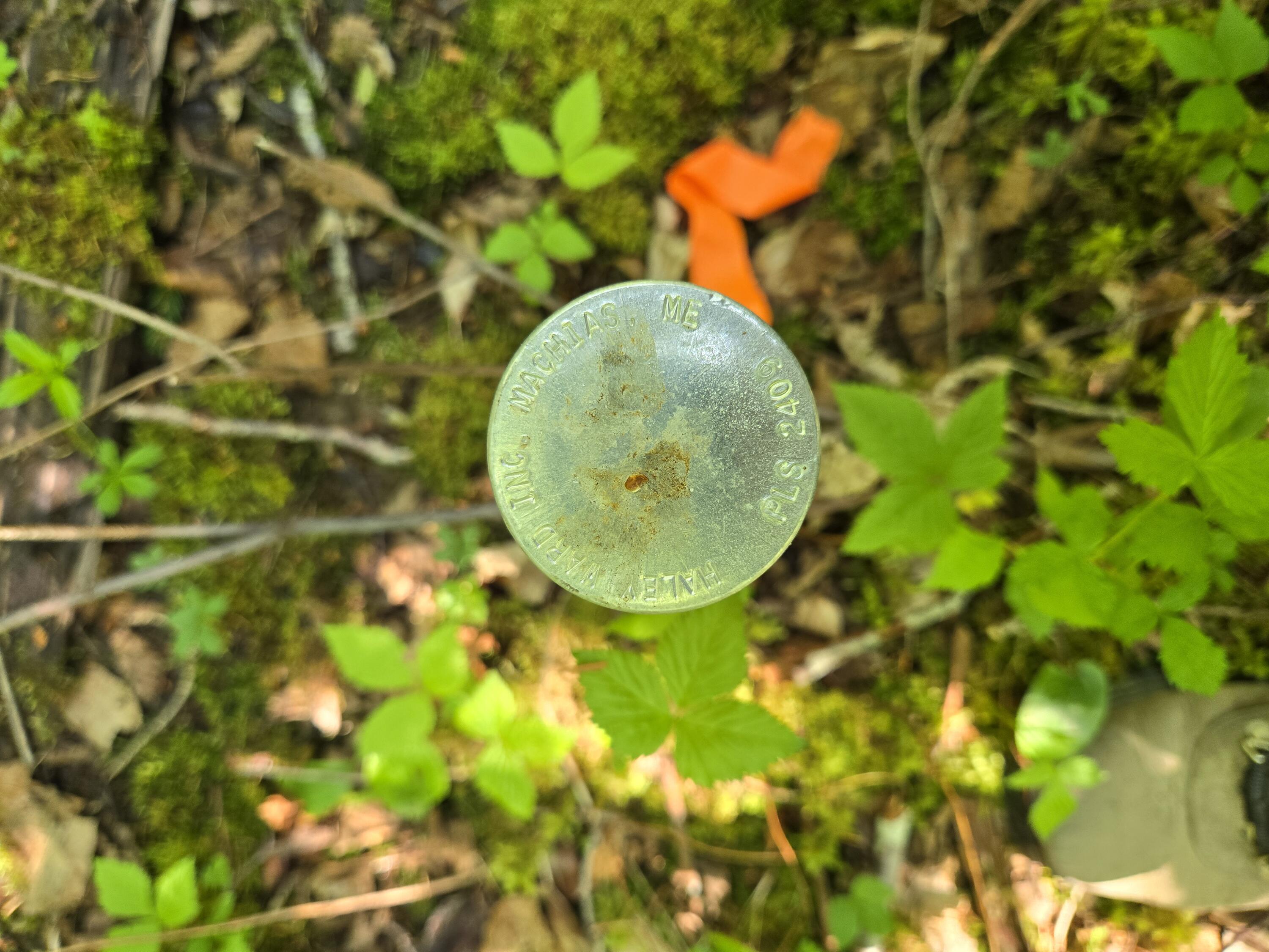 0 Map Wa032 Plan 01 Lubec, ME 04652 - Photo 21 of 36 20250605_110552