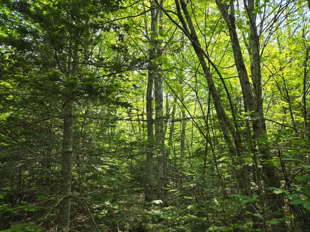 $115,000 | 0 Map Wa032 Plan 01, Lubec, ME 04652