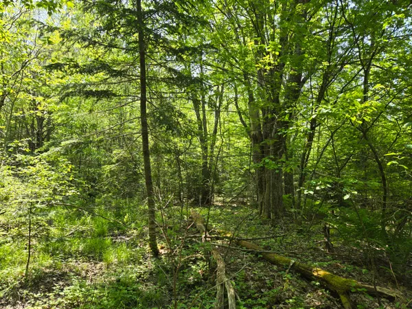 $115,000 | 0 Map Wa032 Plan 01, Lubec, ME 04652