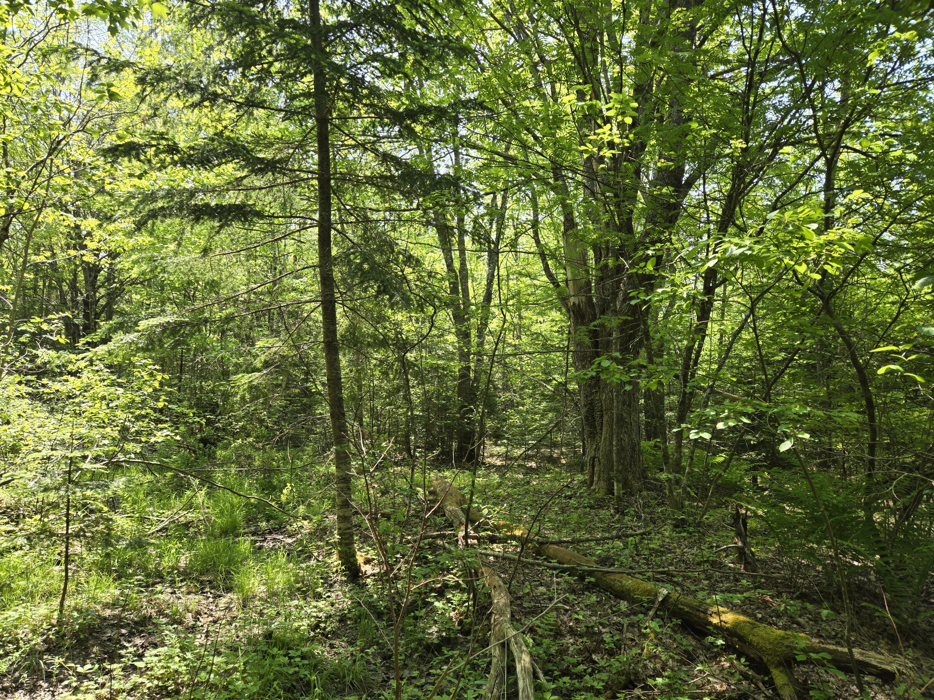 0 Map Wa032 Plan 01 Lubec, ME 04652 - Photo 23 of 36 20250605_111309