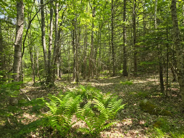 $115,000 | 0 Map Wa032 Plan 01, Lubec, ME 04652