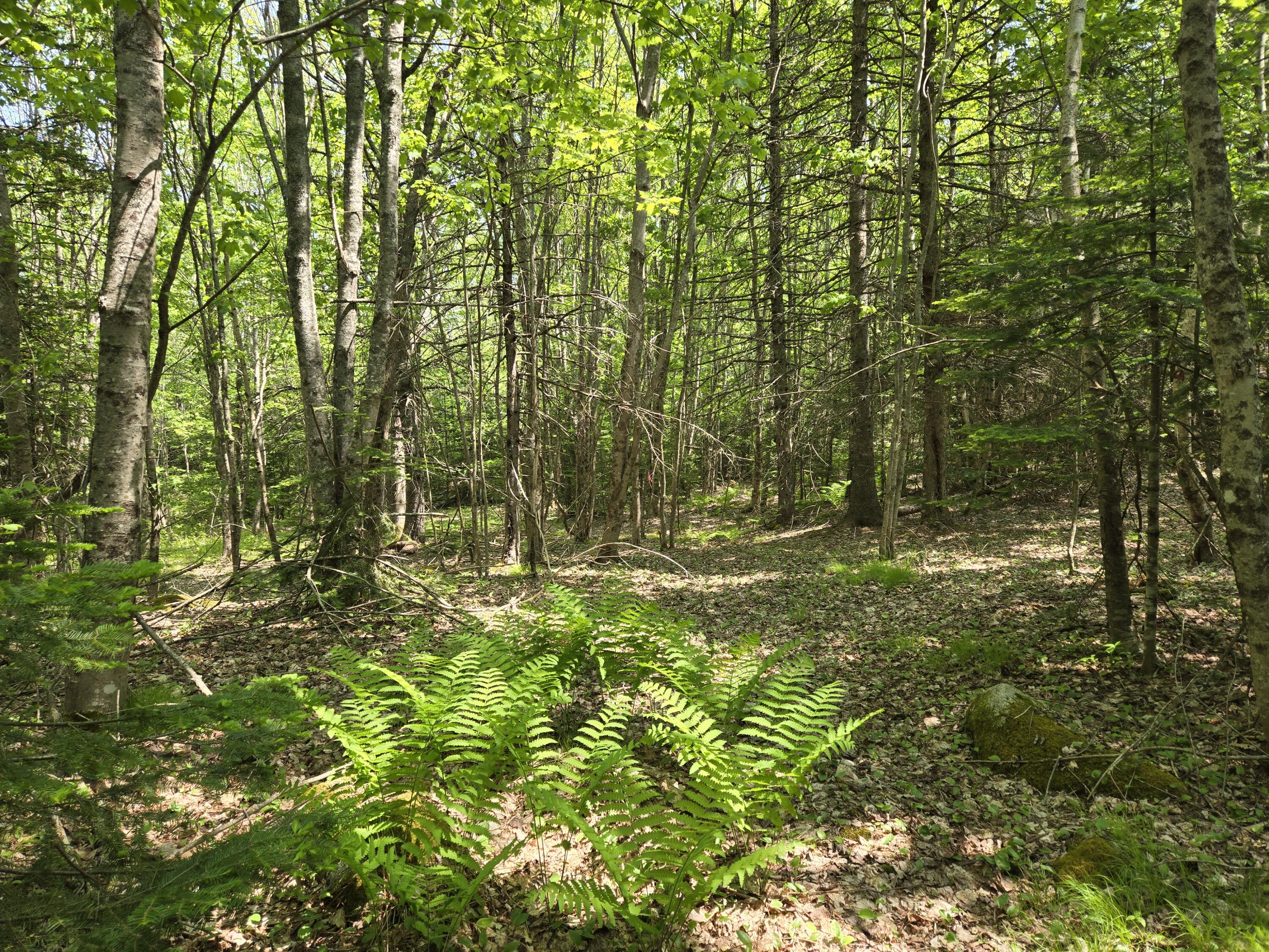 0 Map Wa032 Plan 01 Lubec, ME 04652 - Photo 24 of 36 20250605_111327