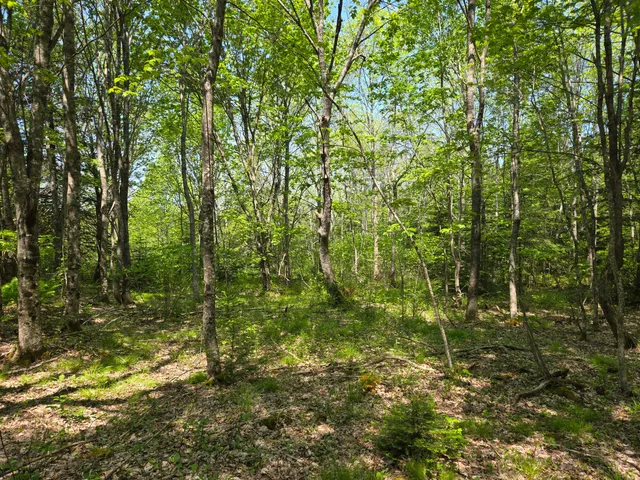 $115,000 | 0 Map Wa032 Plan 01, Lubec, ME 04652