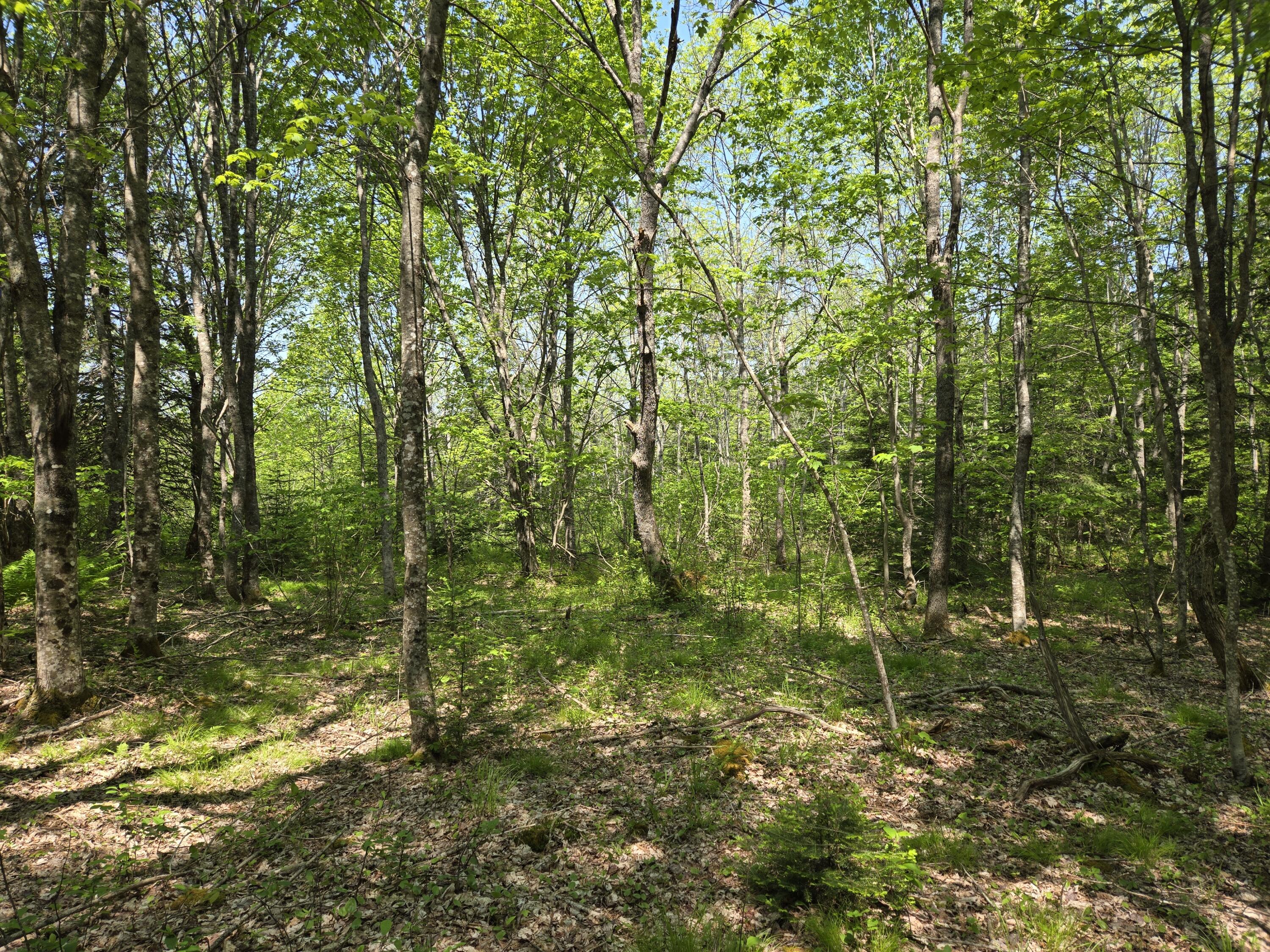 0 Map Wa032 Plan 01 Lubec, ME 04652 - Photo 25 of 36 20250605_111402