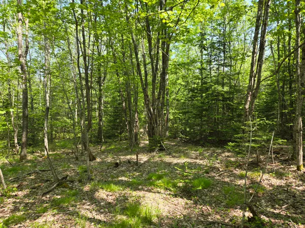 $115,000 | 0 Map Wa032 Plan 01, Lubec, ME 04652