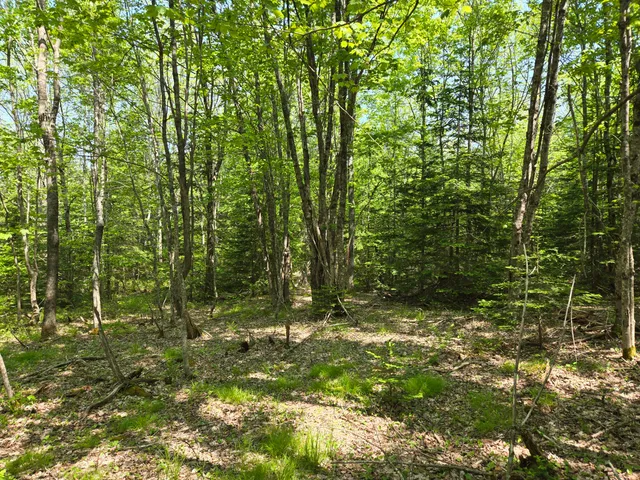 $115,000 | 0 Map Wa032 Plan 01, Lubec, ME 04652