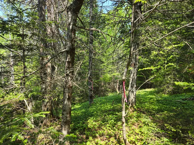 $115,000 | 0 Map Wa032 Plan 01, Lubec, ME 04652