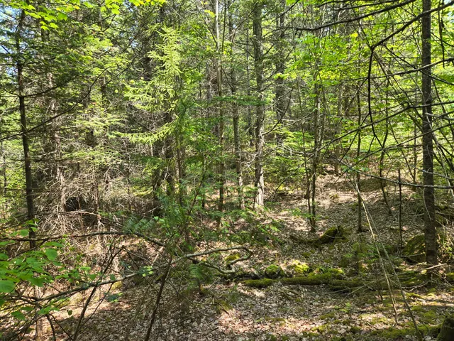 $115,000 | 0 Map Wa032 Plan 01, Lubec, ME 04652