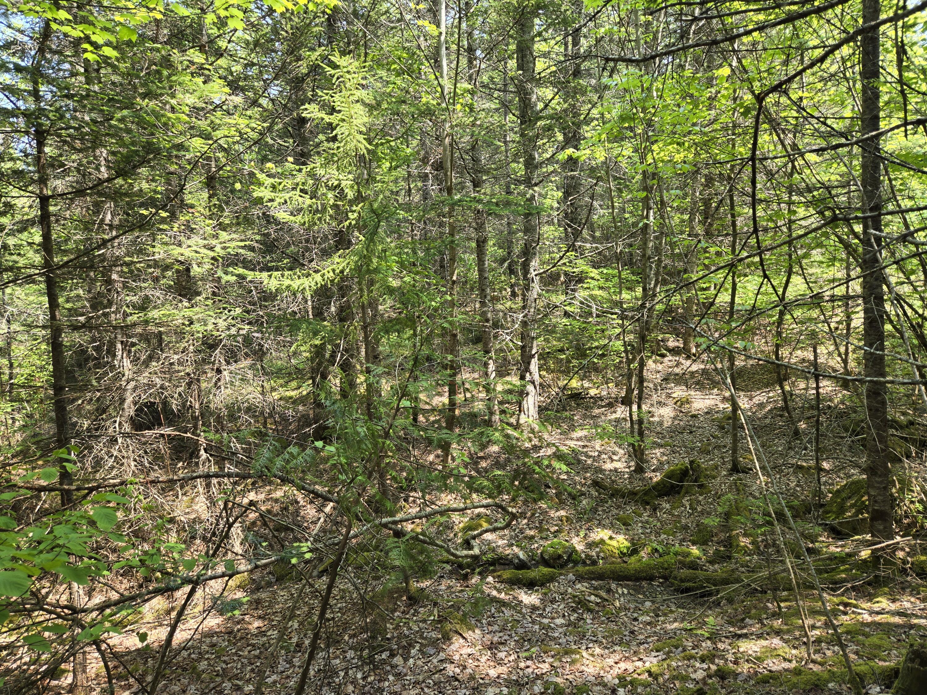 0 Map Wa032 Plan 01 Lubec, ME 04652 - Photo 28 of 36 20250605_111911