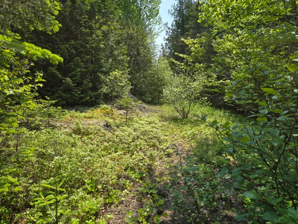 $115,000 | 0 Map Wa032 Plan 01, Lubec, ME 04652